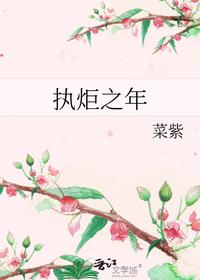 执炬之年